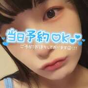 ヒメ日記 2025/07/28 11:47 投稿 うずら ハピネス東京