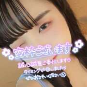 ヒメ日記 2025/07/28 15:39 投稿 うずら ハピネス東京