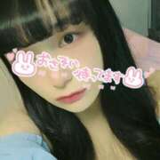 ヒメ日記 2025/07/30 21:07 投稿 うずら ハピネス東京