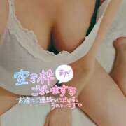 ヒメ日記 2025/08/04 15:37 投稿 うずら ハピネス東京