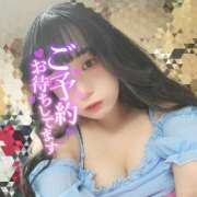 ヒメ日記 2025/08/13 12:22 投稿 うずら ハピネス東京