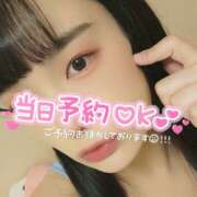 ヒメ日記 2025/09/01 06:07 投稿 うずら ハピネス東京