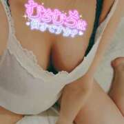 ヒメ日記 2025/09/14 15:37 投稿 うずら ハピネス東京