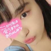 ヒメ日記 2025/09/22 21:07 投稿 うずら ハピネス東京