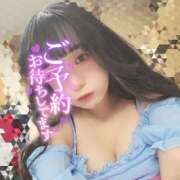 ヒメ日記 2025/10/02 18:08 投稿 うずら ハピネス東京