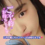 ヒメ日記 2025/11/09 12:07 投稿 うずら ハピネス東京