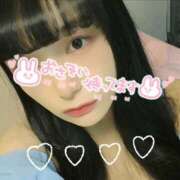 ヒメ日記 2025/11/18 18:08 投稿 うずら ハピネス東京