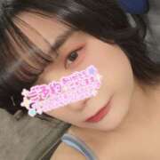 ヒメ日記 2025/12/03 11:47 投稿 うずら ハピネス東京