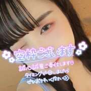 ヒメ日記 2025/12/10 18:07 投稿 うずら ハピネス東京