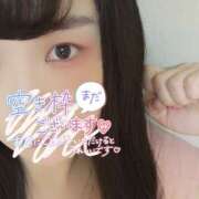 ヒメ日記 2025/12/12 18:07 投稿 うずら ハピネス東京