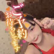 ヒメ日記 2025/12/21 21:07 投稿 うずら ハピネス東京