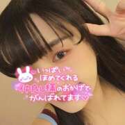 ヒメ日記 2025/12/29 21:07 投稿 うずら ハピネス東京