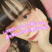 ヒメ日記 2025/12/31 11:47 投稿 うずら ハピネス東京