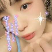 ヒメ日記 2026/02/13 18:07 投稿 うずら ハピネス東京