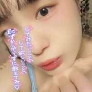 ヒメ日記 2026/02/28 18:07 投稿 うずら ハピネス東京