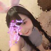 うずら スケジュールと空き状況‪⸜‪‪‪‪‪︎🐣⸝‬‪‪ ハピネス東京