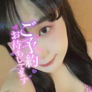 ヒメ日記 2026/05/19 06:08 投稿 うずら ハピネス東京