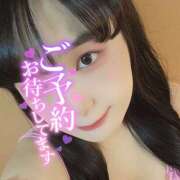 ヒメ日記 2026/05/31 12:07 投稿 うずら ハピネス東京