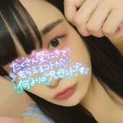 ヒメ日記 2026/07/11 18:07 投稿 うずら ハピネス東京