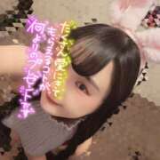 ヒメ日記 2026/07/12 06:11 投稿 うずら ハピネス東京