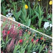 ヒメ日記 2025/02/14 05:12 投稿 あやね 熟女総本店 日本橋ミナミエリア店