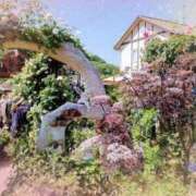 ヒメ日記 2025/03/02 06:24 投稿 あやね 熟女総本店 日本橋ミナミエリア店