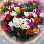 ヒメ日記 2025/04/20 07:06 投稿 あやね 熟女総本店 日本橋ミナミエリア店