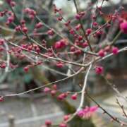 ヒメ日記 2025/03/19 19:33 投稿 えり One More 奥様　錦糸町店