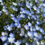 ヒメ日記 2025/04/29 14:13 投稿 えり One More 奥様　錦糸町店