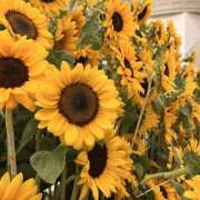 ヒメ日記 2025/07/30 20:00 投稿 えな 奥鉄オクテツ大阪