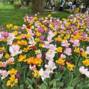 ヒメ日記 2025/04/28 23:56 投稿 佐伯くれは グランエステ東京 品川（シンデレラグループ）