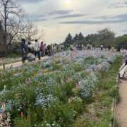 ヒメ日記 2025/06/12 23:06 投稿 佐伯くれは グランエステ東京 品川（シンデレラグループ）