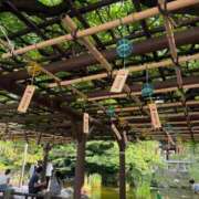 ヒメ日記 2025/09/07 20:38 投稿 佐伯くれは グランエステ東京 品川（シンデレラグループ）