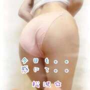 ヒメ日記 2025/09/12 09:07 投稿 松沢(まつざわ) 人妻出逢い会 百合の園 山の手本店