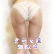 ヒメ日記 2026/02/20 00:17 投稿 松沢(まつざわ) 人妻出逢い会 百合の園 山の手本店