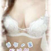 ヒメ日記 2026/04/03 08:17 投稿 松沢(まつざわ) 人妻出逢い会 百合の園 山の手本店