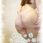 ヒメ日記 2026/04/13 08:47 投稿 松沢(まつざわ) 人妻出逢い会 百合の園 山の手本店