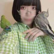 ヒメ日記 2024/12/11 20:00 投稿 ひるね アリスカフェ