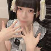 ヒメ日記 2024/12/16 20:51 投稿 ひるね アリスカフェ