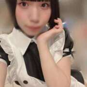 ヒメ日記 2024/12/19 14:58 投稿 ひるね アリスカフェ