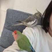 ヒメ日記 2025/01/10 18:12 投稿 ひるね アリスカフェ