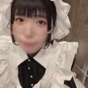 ヒメ日記 2025/01/31 14:11 投稿 ひるね アリスカフェ