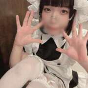 ヒメ日記 2025/02/01 11:34 投稿 ひるね アリスカフェ