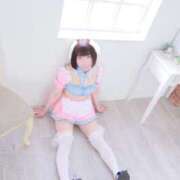 ヒメ日記 2025/02/05 22:14 投稿 ひるね アリスカフェ