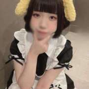 ヒメ日記 2025/02/16 14:59 投稿 ひるね アリスカフェ