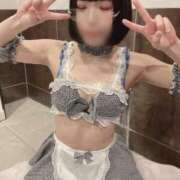 ヒメ日記 2025/03/12 14:09 投稿 ひるね アリスカフェ