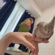 ヒメ日記 2025/03/28 18:40 投稿 ひるね アリスカフェ