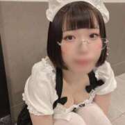 ヒメ日記 2025/03/30 15:12 投稿 ひるね アリスカフェ