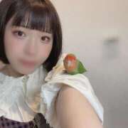 ヒメ日記 2025/03/30 16:27 投稿 ひるね アリスカフェ