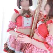 ヒメ日記 2025/04/05 15:24 投稿 ひるね アリスカフェ